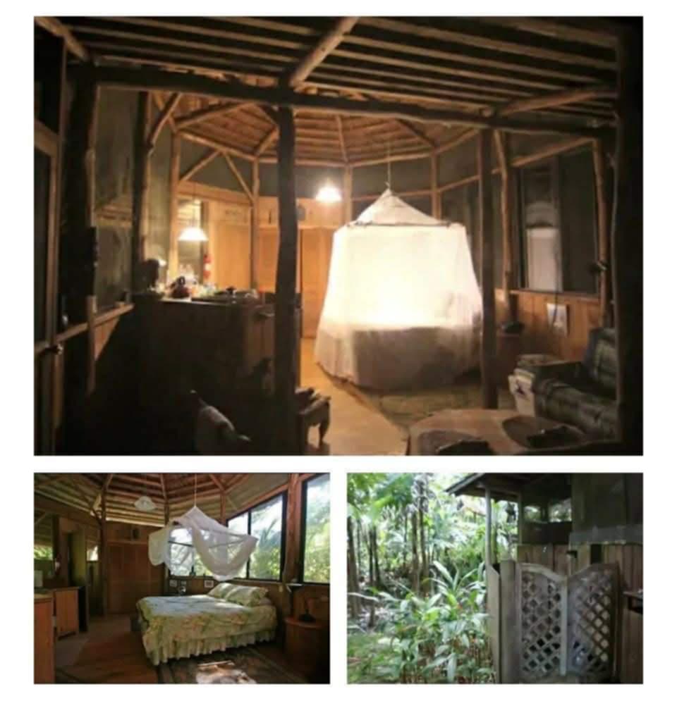 Garden & Pet-Friendly Yard + more in Pahoa , HI