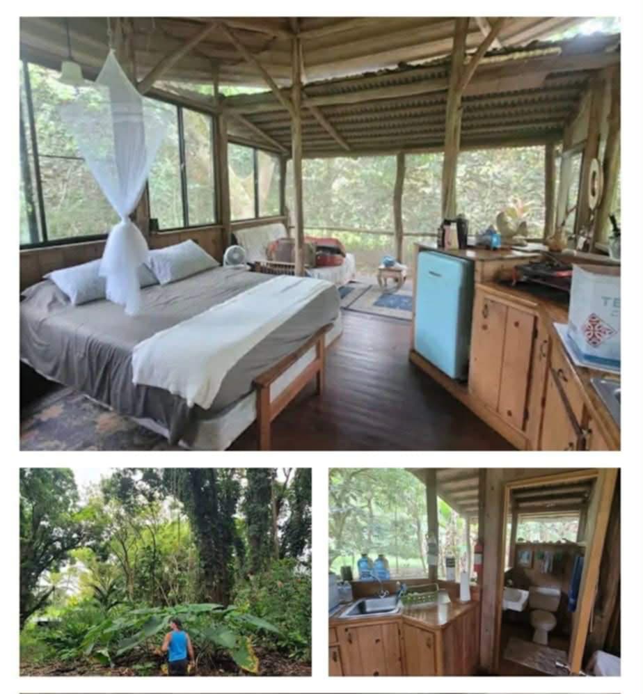 Garden & Pet-Friendly Yard + more in Pahoa , HI