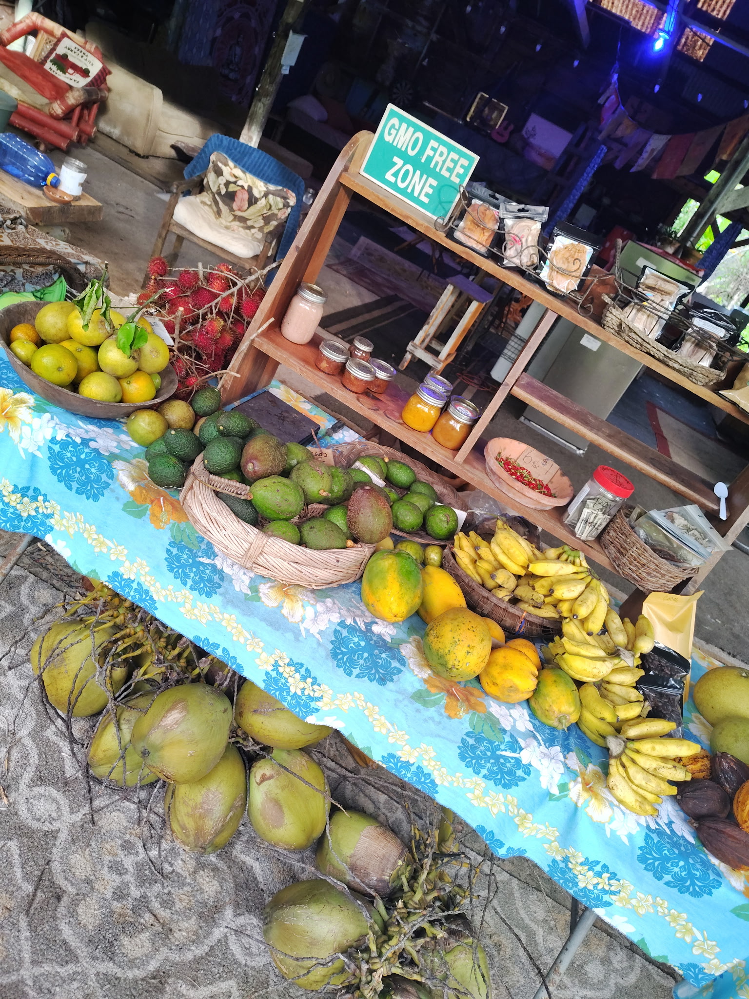 Garden & Pet-Friendly Yard + more in Pahoa , HI