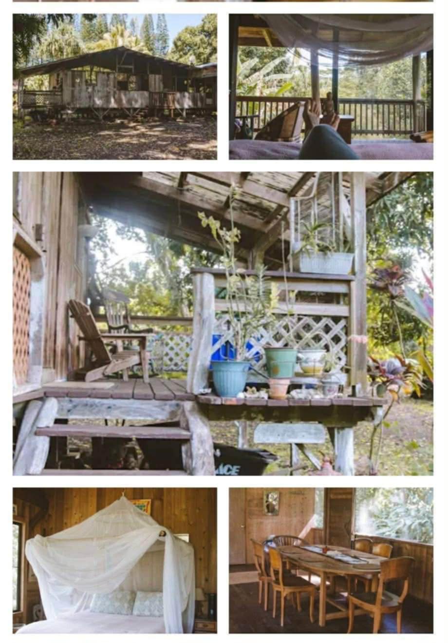 Garden & Pet-Friendly Yard + more in Pahoa , HI